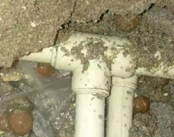 大田测漏水多少钱