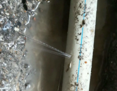 大田测漏水哪家好