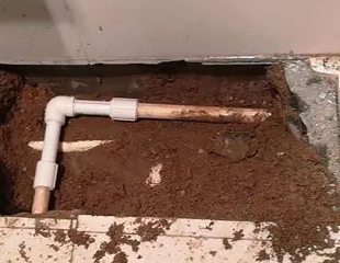 大田测漏水哪家好