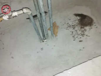 大田卫生间测漏水价格明细