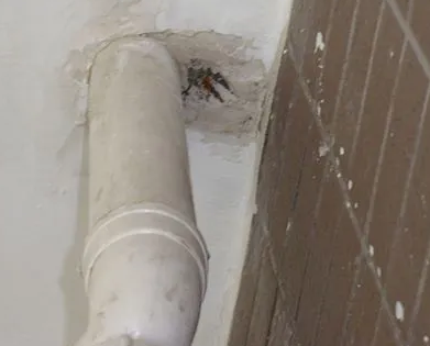 大田漏水检测哪家好